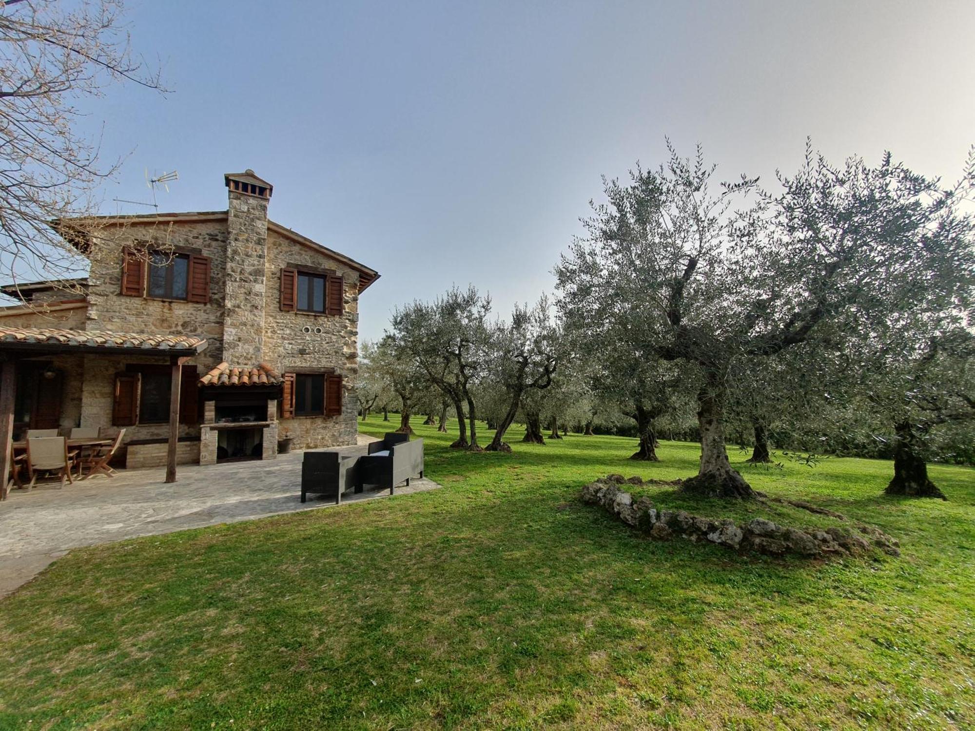 Villa Lisabetta Montecchio  Zewnętrze zdjęcie